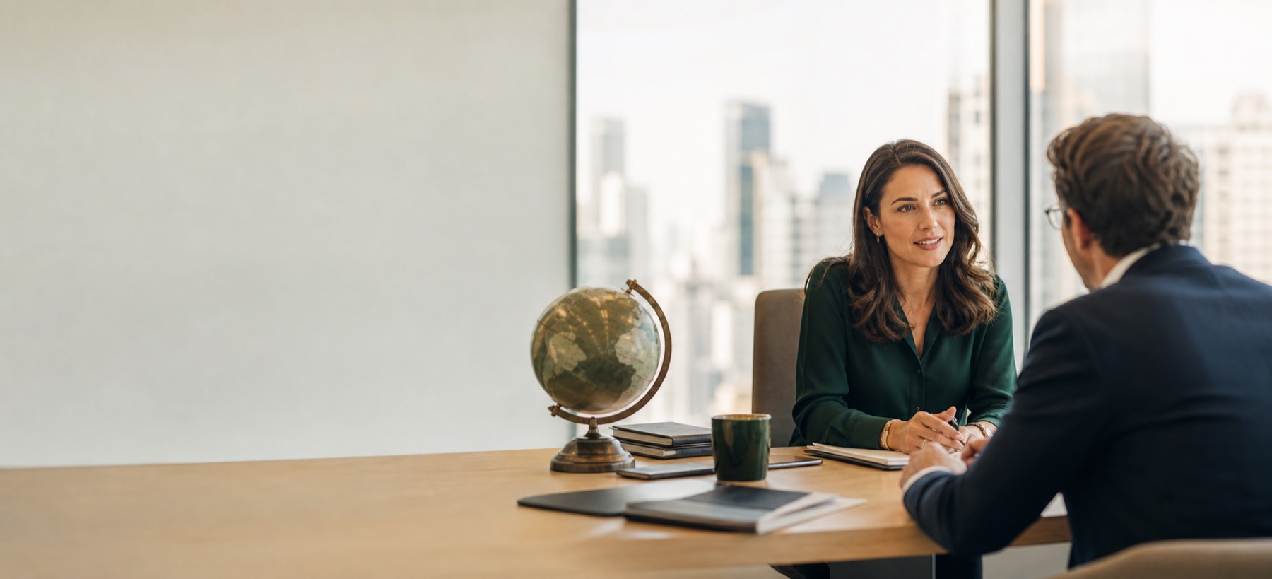 Professional U.S. tax consultation